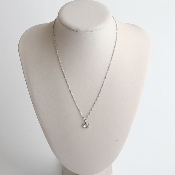 BRAND NEW COACH SIGNATURE C SILVER NECKLACE - Picture 8 of 9